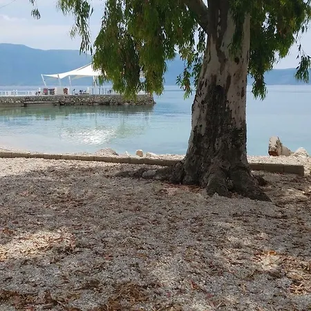 Garden Vila Jako شقة *