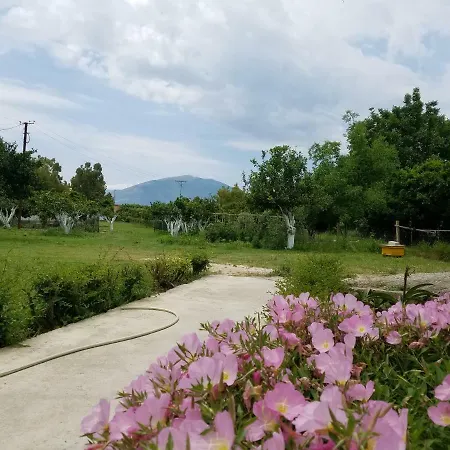 Garden Vila Jako شقة فلورا